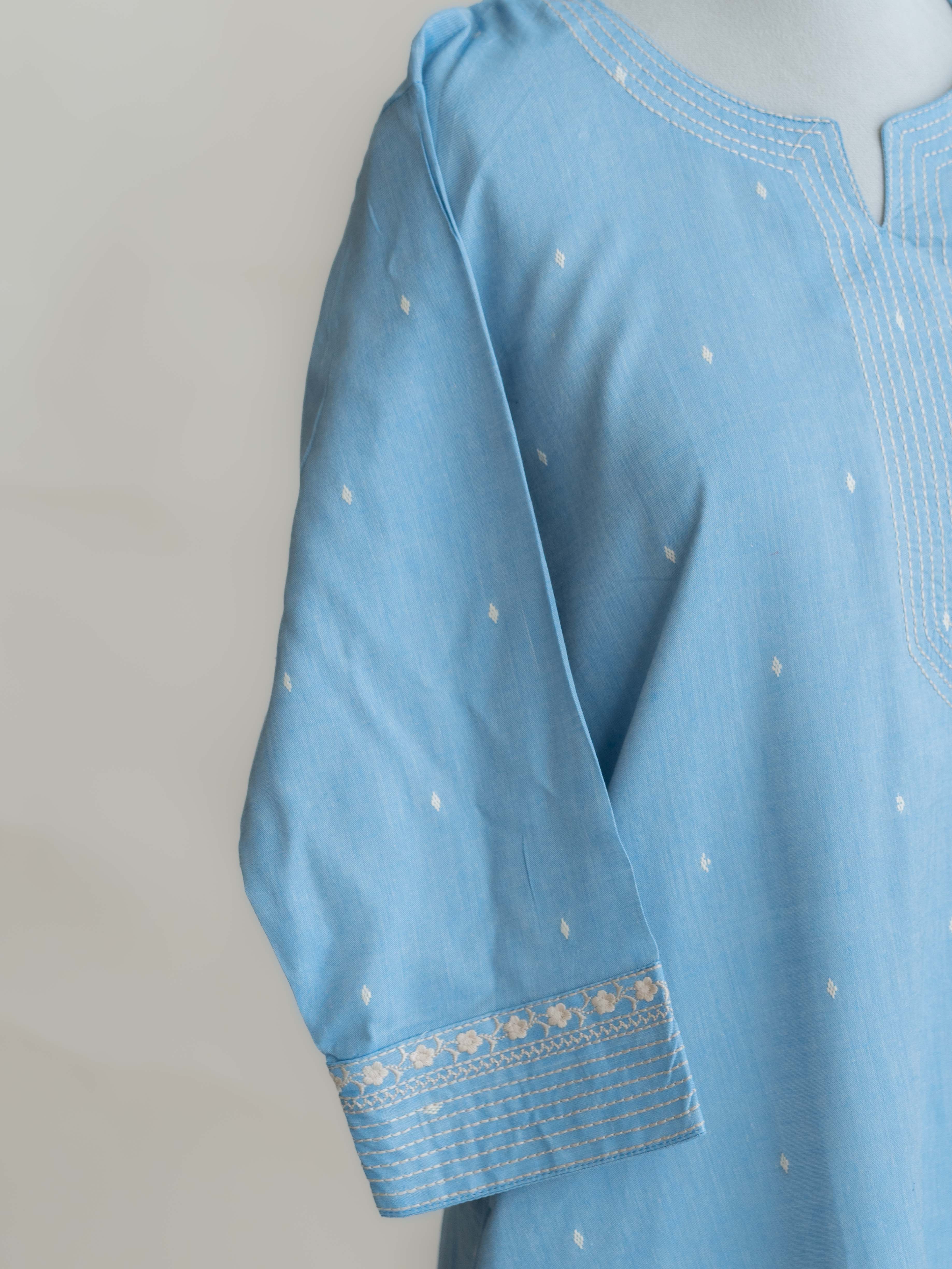 Tania Cotton Handloom Embroidered Straight Kurta